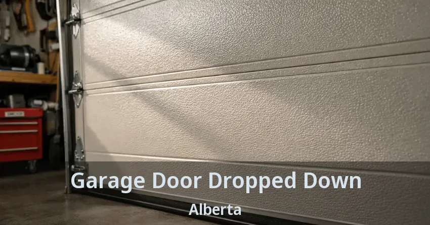 Garage Door Dropped Down Alberta